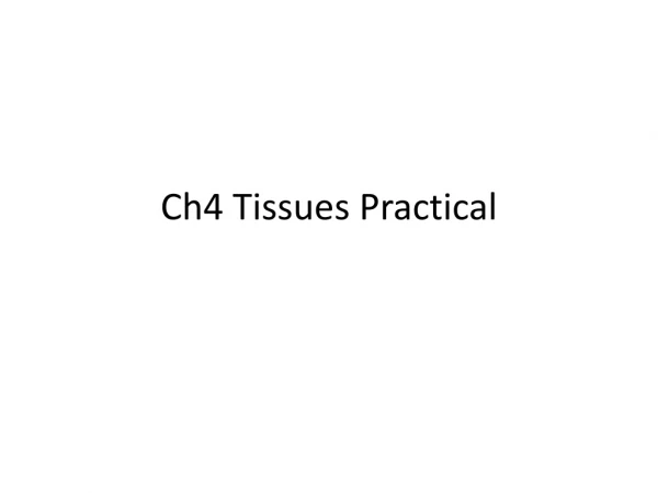 Ch4 Tissues Practical