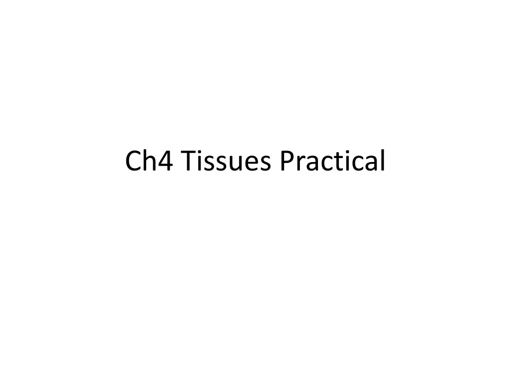 ch4 tissues practical
