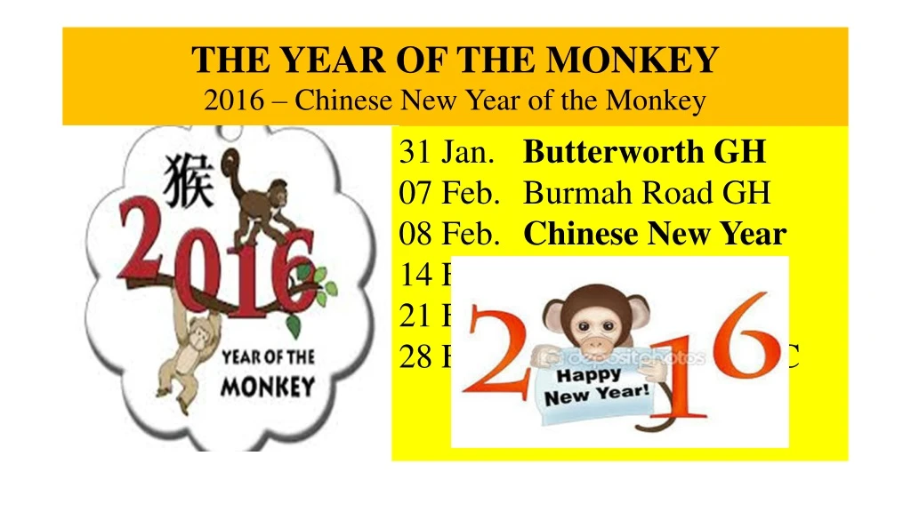 the year of the monkey 2016 chinese new year of the monkey