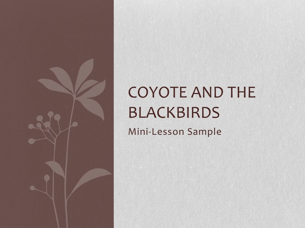 coyote and the blackbirds