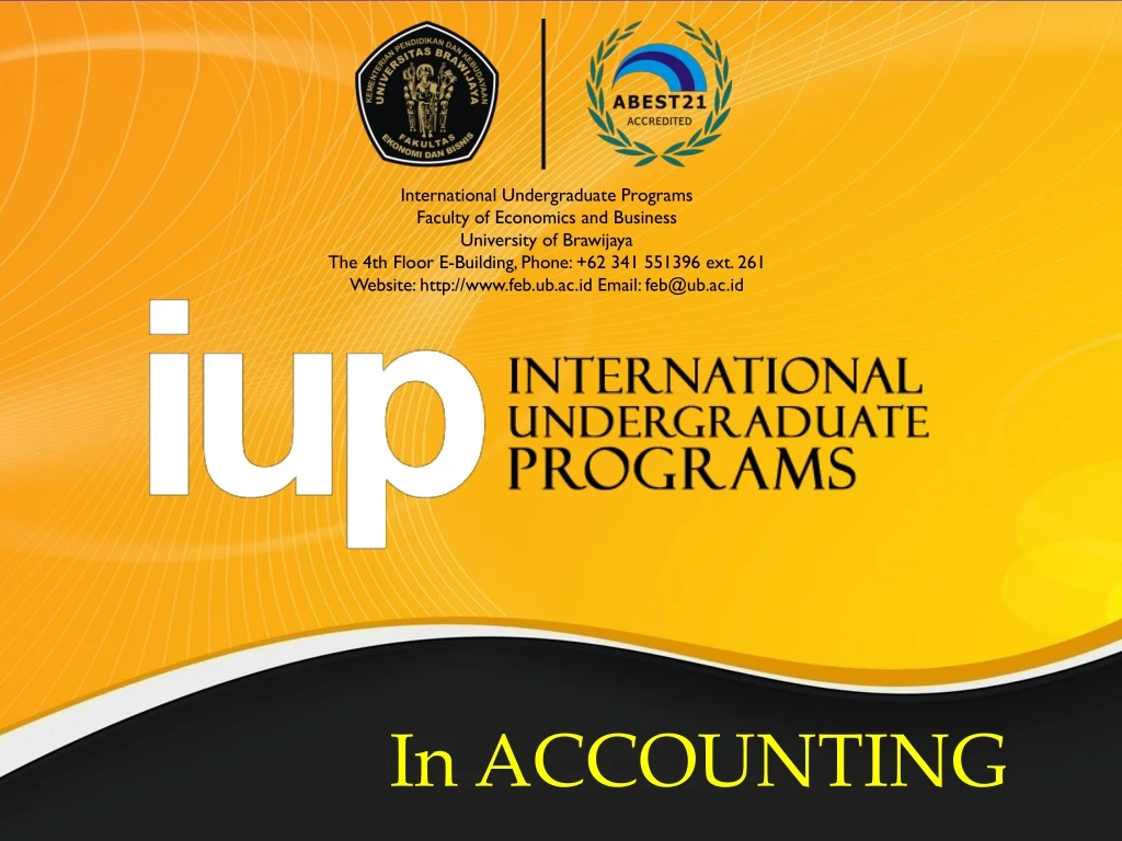 international undergraduate programs faculty