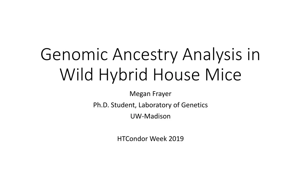genomic ancestry analysis in wild hybrid house mice