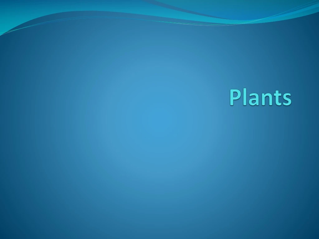 plants