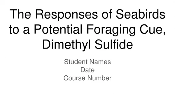 The Responses of Seabirds to a Potential Foraging Cue, Dimethyl Sulfide