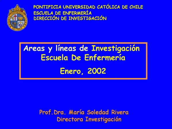 Areas y l neas de Investigaci n Escuela De Enfermer a Enero, 2002