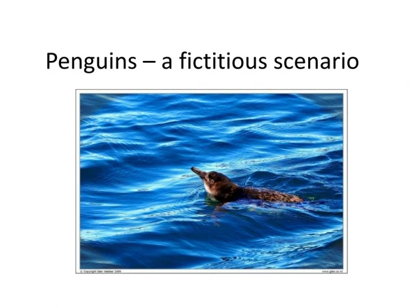 Penguins – a fictitious scenario