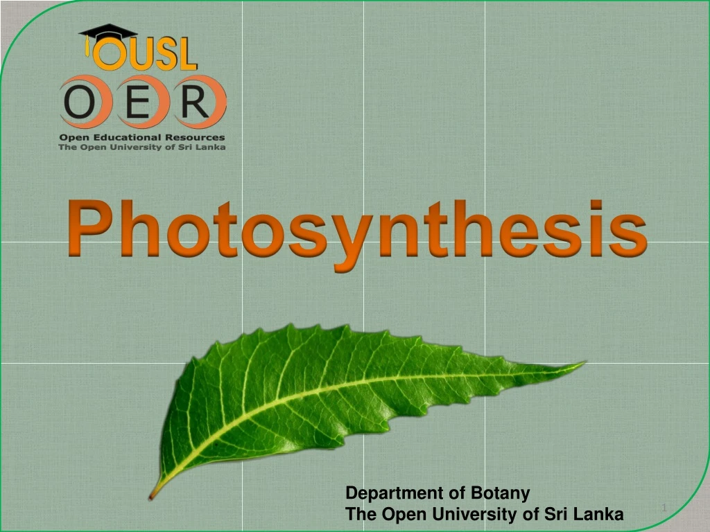 photosynthesis