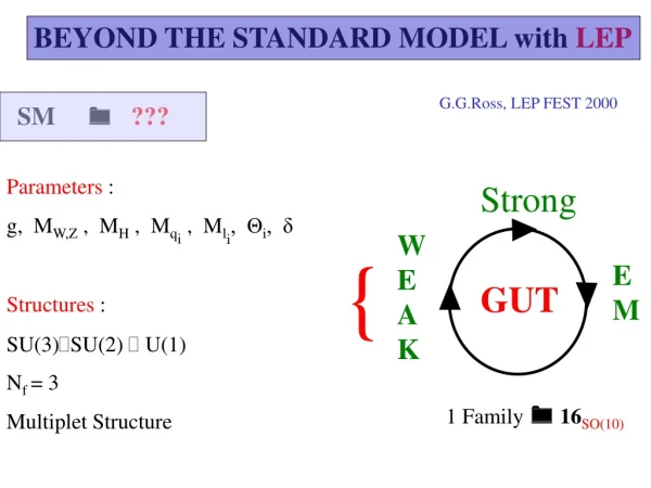 BEYOND THE STANDARD MODEL with LEP