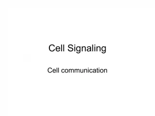 Cell Signaling - slide 1