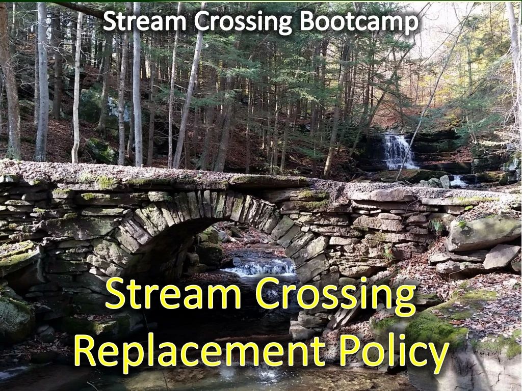 stream crossing bootcamp