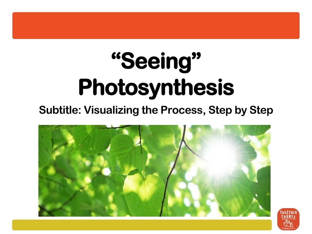 seeing photosynthesis