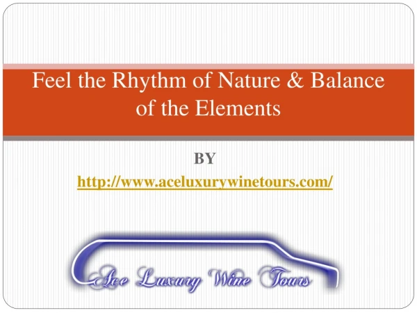 Feel the Rhythm of Nature &amp; Balance of the Elements
