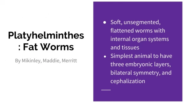 Platyhelminthes: Fat Worms