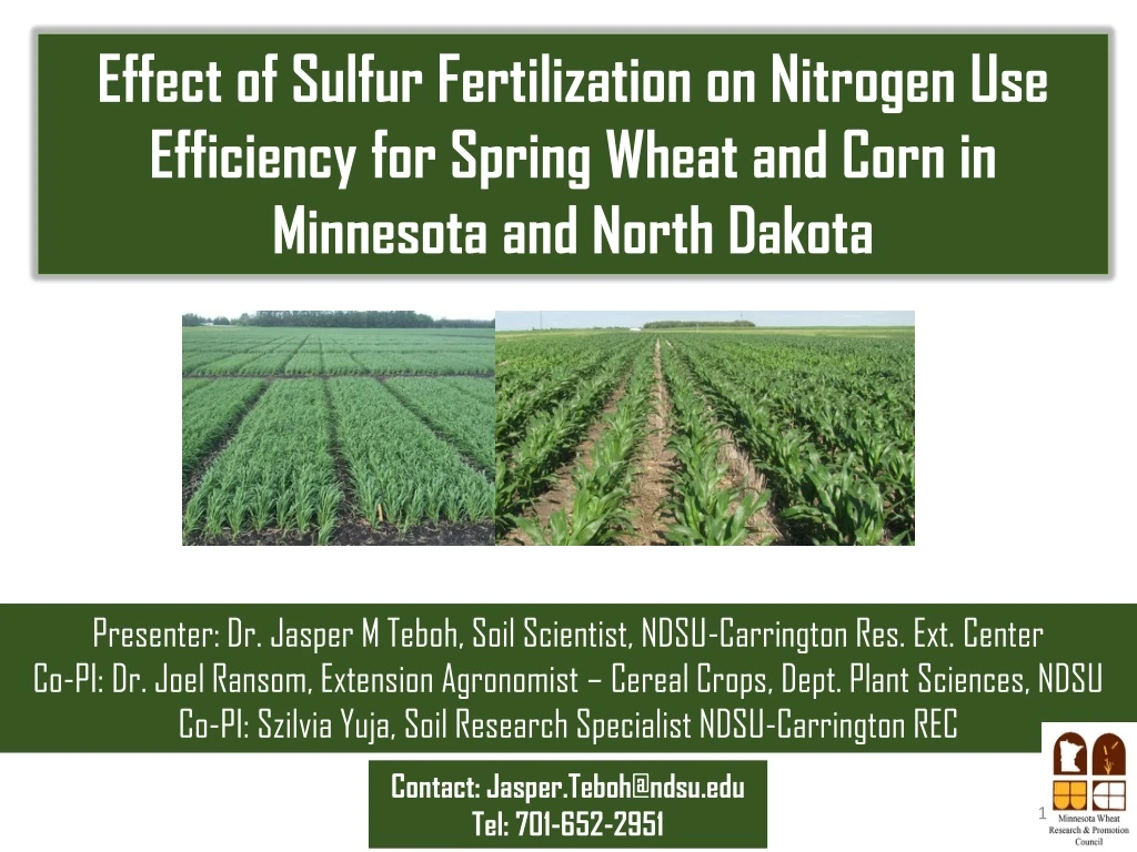 effect of sulfur fertilization on nitrogen