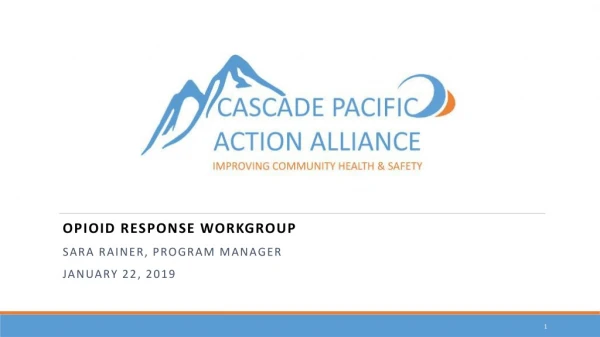 Opioid Response Workgroup Sara Rainer, program manager January 22, 2019