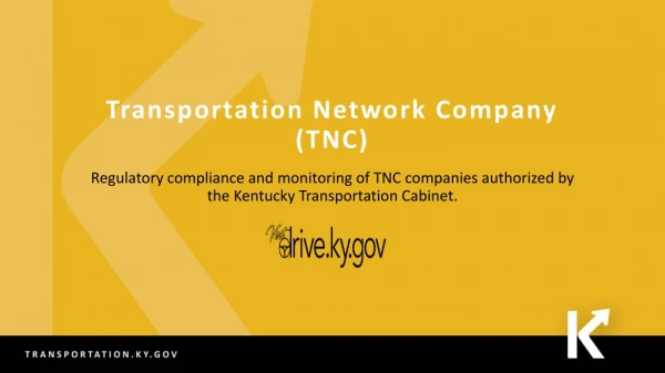 Transportation Network Company (TNC)