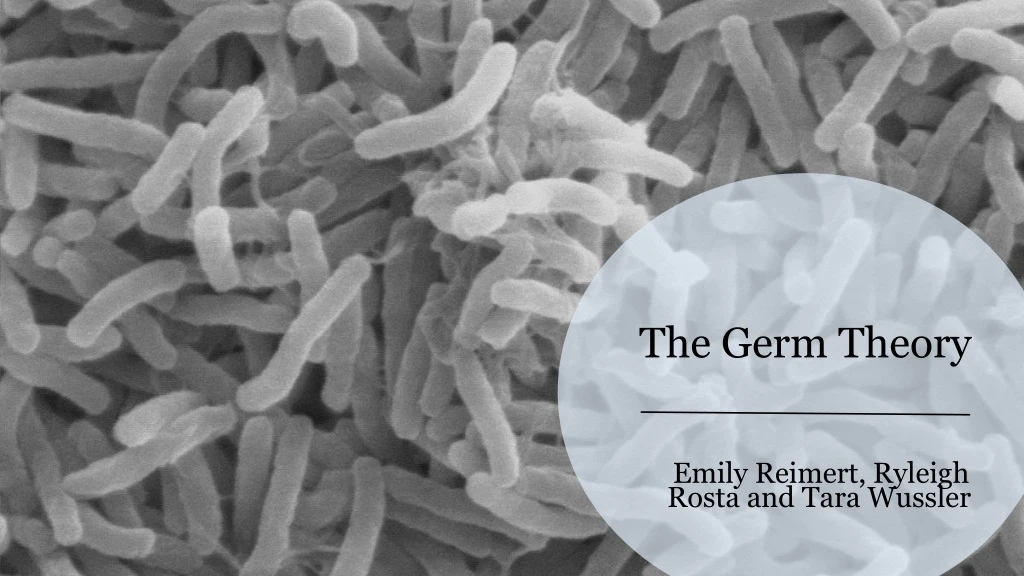 the germ theory