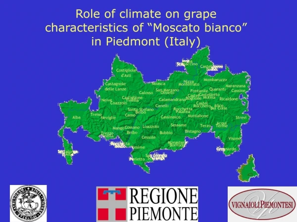 Role of climate on grape characteristics of “Moscato bianco” in Piedmont (Italy)