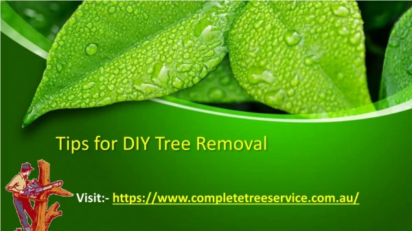 Tips for DIY Tree Removal