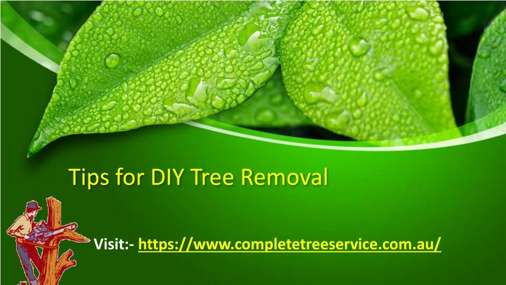 tips for diy tree removal