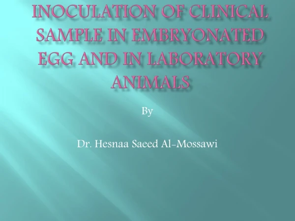 Inoculation of clinical sample in embryonated egg and in laboratory animals