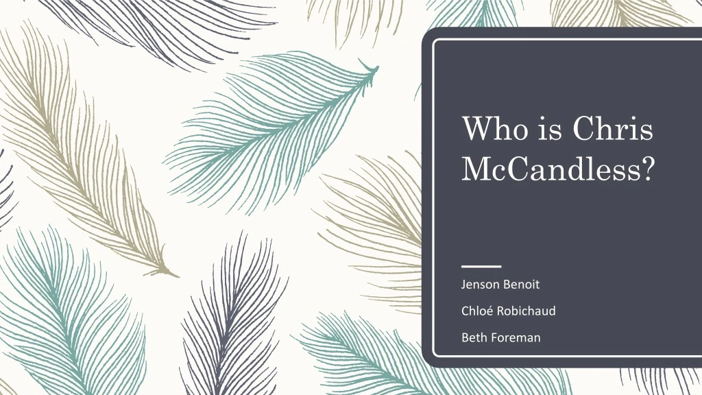 who is chris mccandless