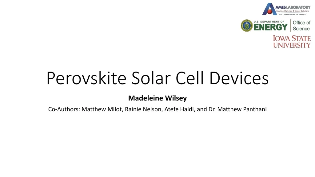 perovskite solar cell devices