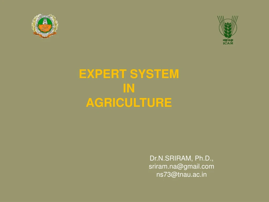 expert system in agriculture