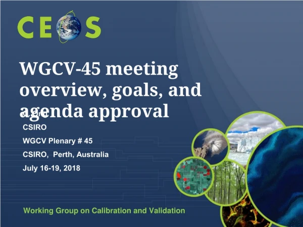 WGCV-45 meeting overview, goals, and agenda approval