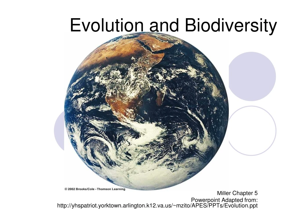 evolution and biodiversity