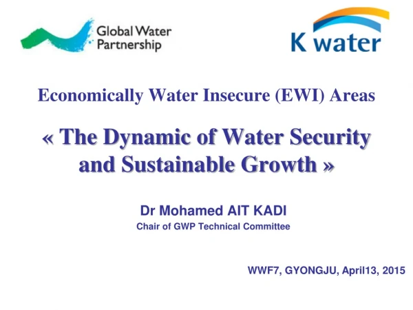 Dr Mohamed AIT KADI Chair of GWP Technical Committee