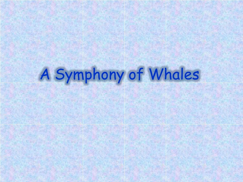 a symphony of whales