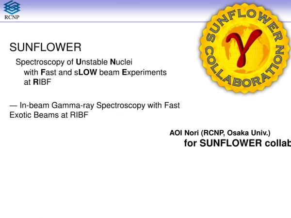 SUNFLOWER Spectroscopy of U nstable N uclei 	with F ast and s LOW beam E xperiments