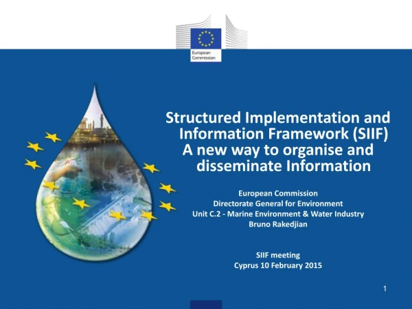 Structured Implementation and Information Framework (SIIF)