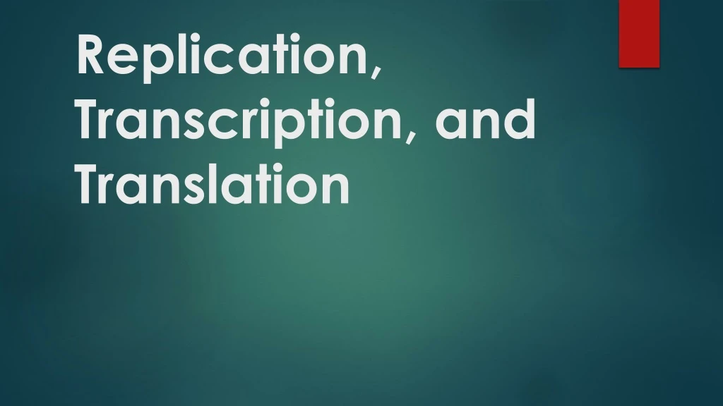 replication transcription and translation