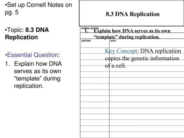 Set up Cornell Notes on pg. 5 Topic: 8.3 DNA Replication Essential Question :
