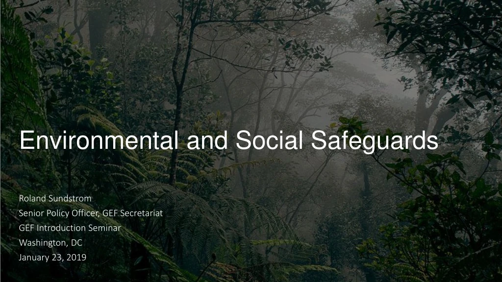 environmental and social safeguards