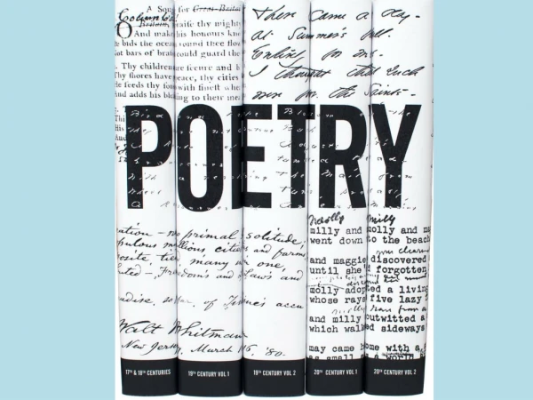 How can we understand the meaning of a poem?