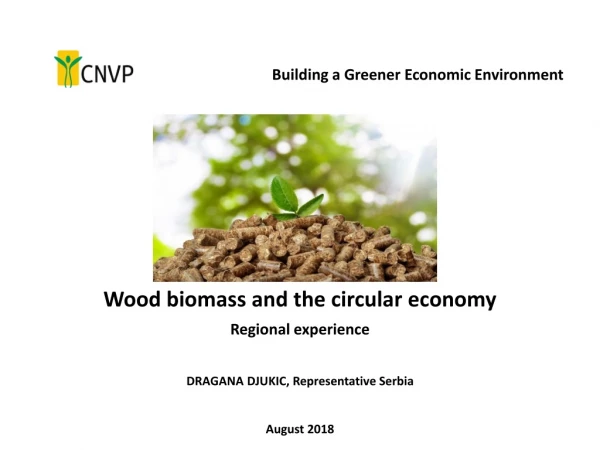 Wood biomass and the circular economy Regional experience DRAGANA DJUKIC, Representative Serbia