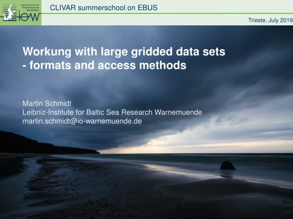 Workung with large gridded data sets - formats and access methods Martin Schmidt