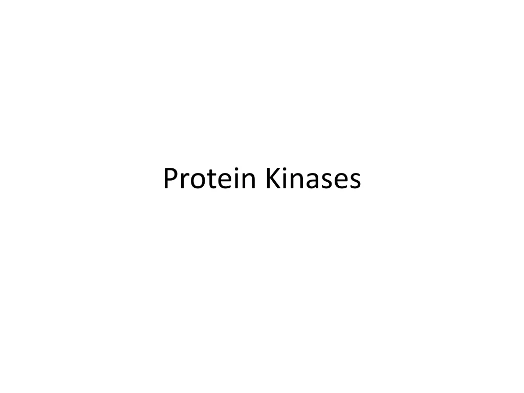 protein kinases