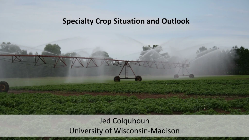 specialty crop situation and outlook