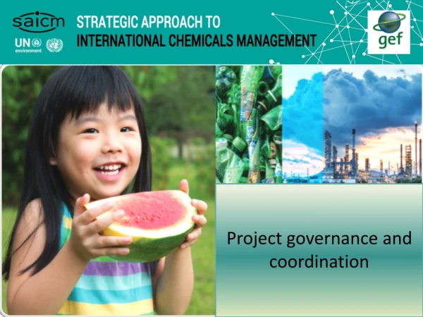 Project governance and coordination