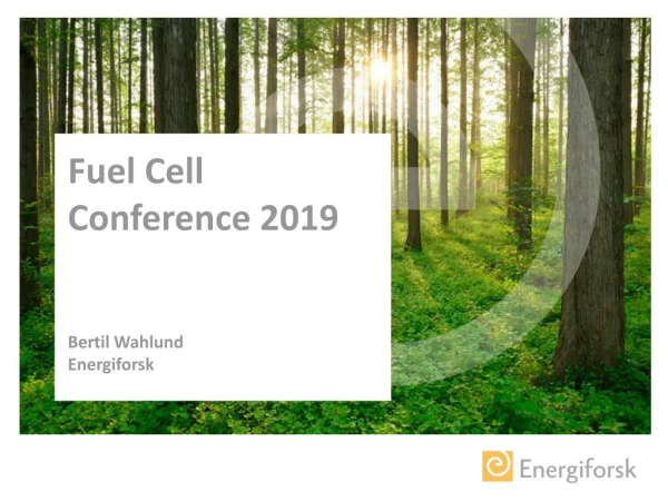 Fuel Cell Conference 2019 Bertil Wahlund Energiforsk
