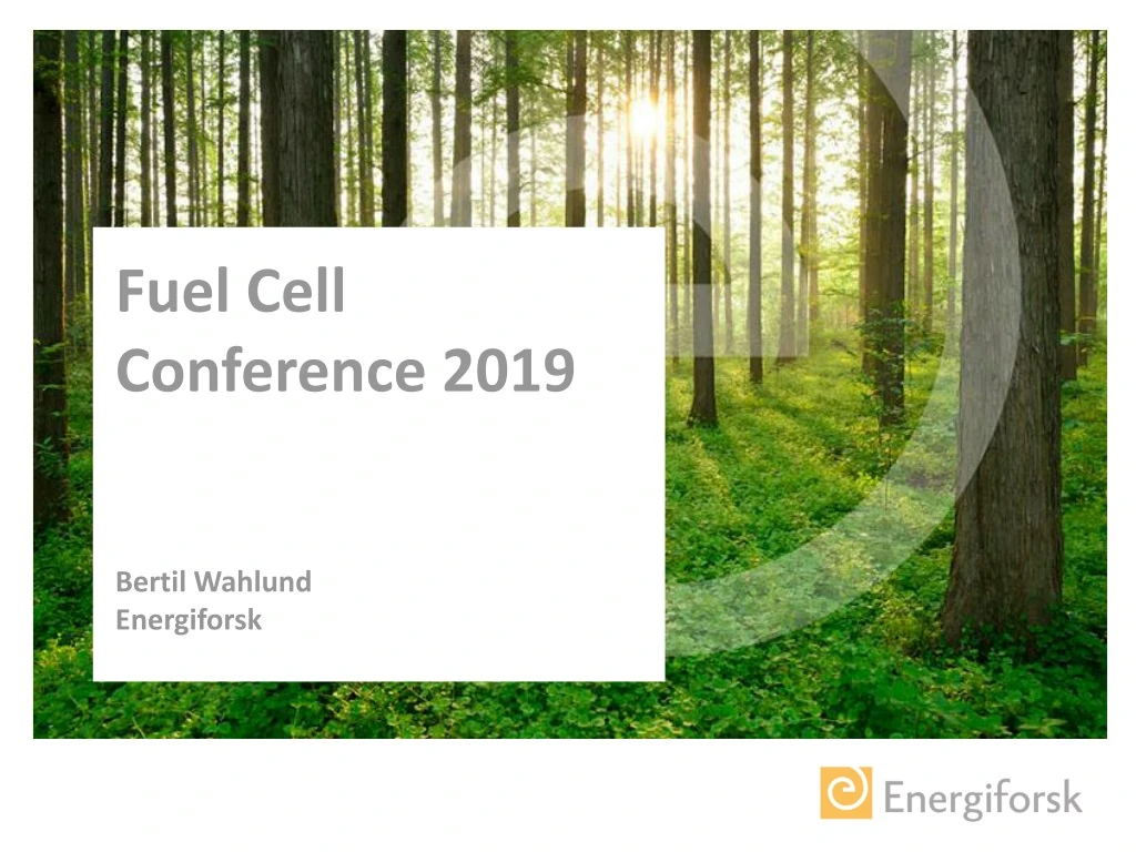 fuel cell conference 2019 bertil wahlund energiforsk