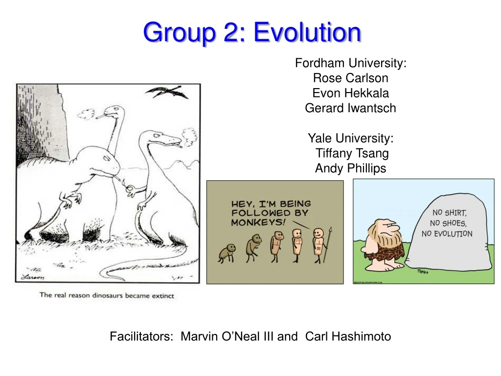 group 2 evolution