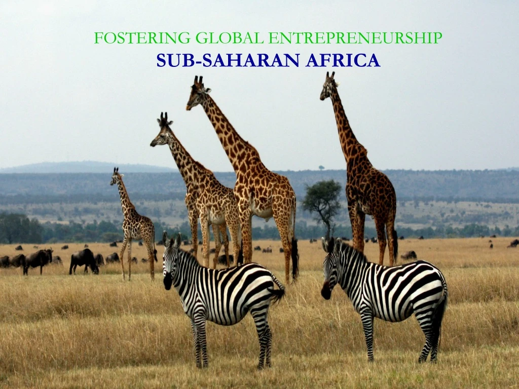 fostering global entrepreneurship sub saharan