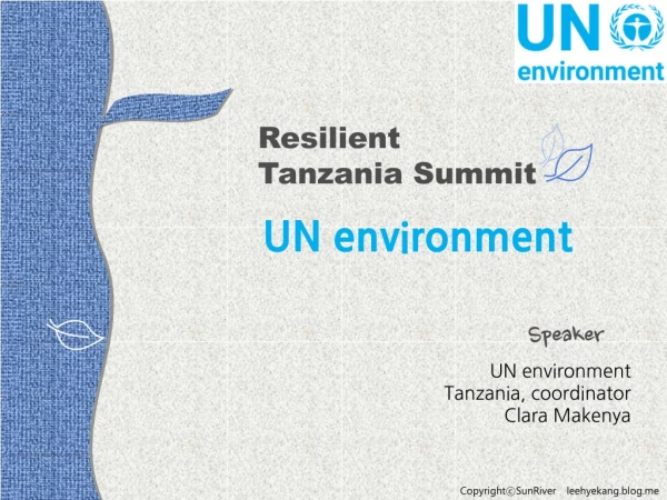 UN environment Tanzania, coordinator Clara Makenya