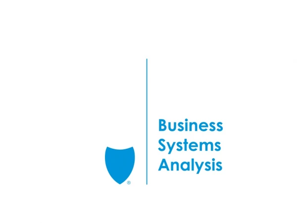 Business Systems Analysis