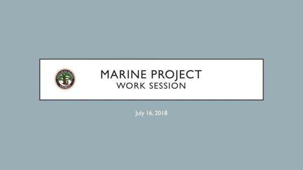 Marine Project Work Session